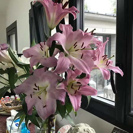 A La Guiniere 度假居 Couëron