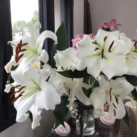 A La Guiniere Casa vacanze Couëron