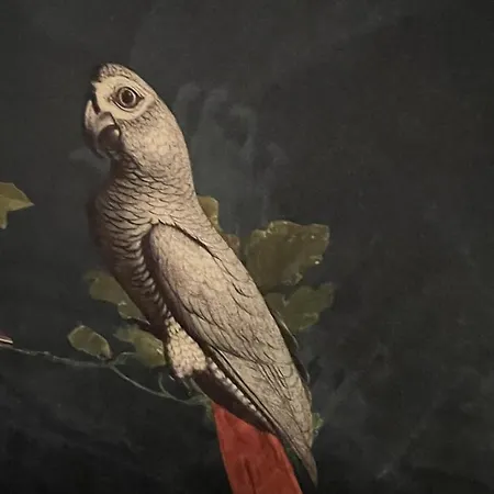 Casa vacanze A La Guiniere Couëron