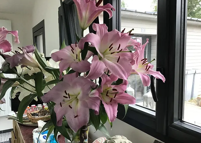 A La Guiniere Дом отдыха Coueron