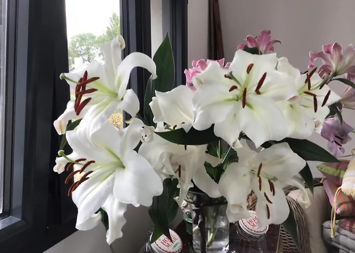 A La Guiniere Дом отдыха Coueron