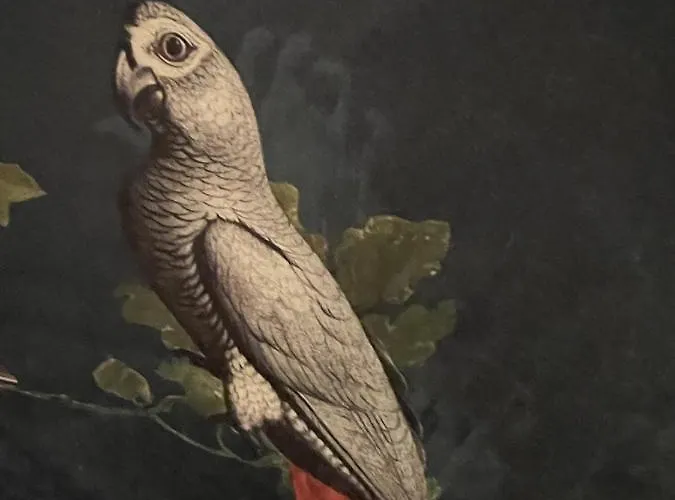 Дом отдыха A La Guiniere Coueron